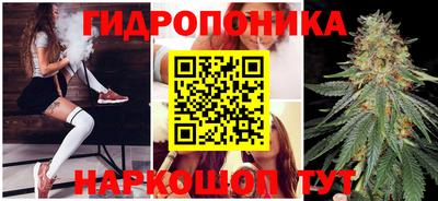 хмурый Обнинск