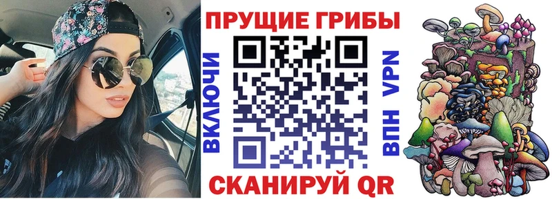 Псилоцибиновые грибы мицелий  Ставрополь 