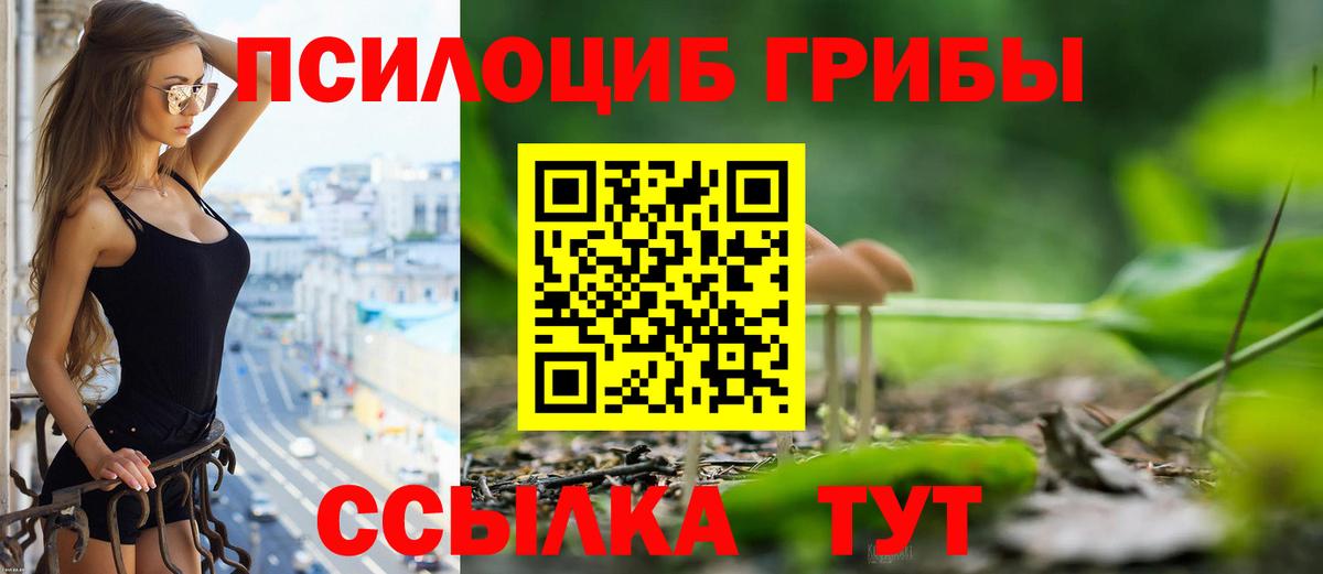 Псилоцибиновые грибы мицелий  Галлюциногенные грибы прущие грибы  Ставрополь  Вход с VPN 